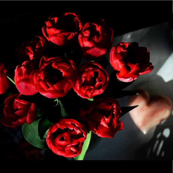 Meet your Posher, Cristina - Picture 10 of 16